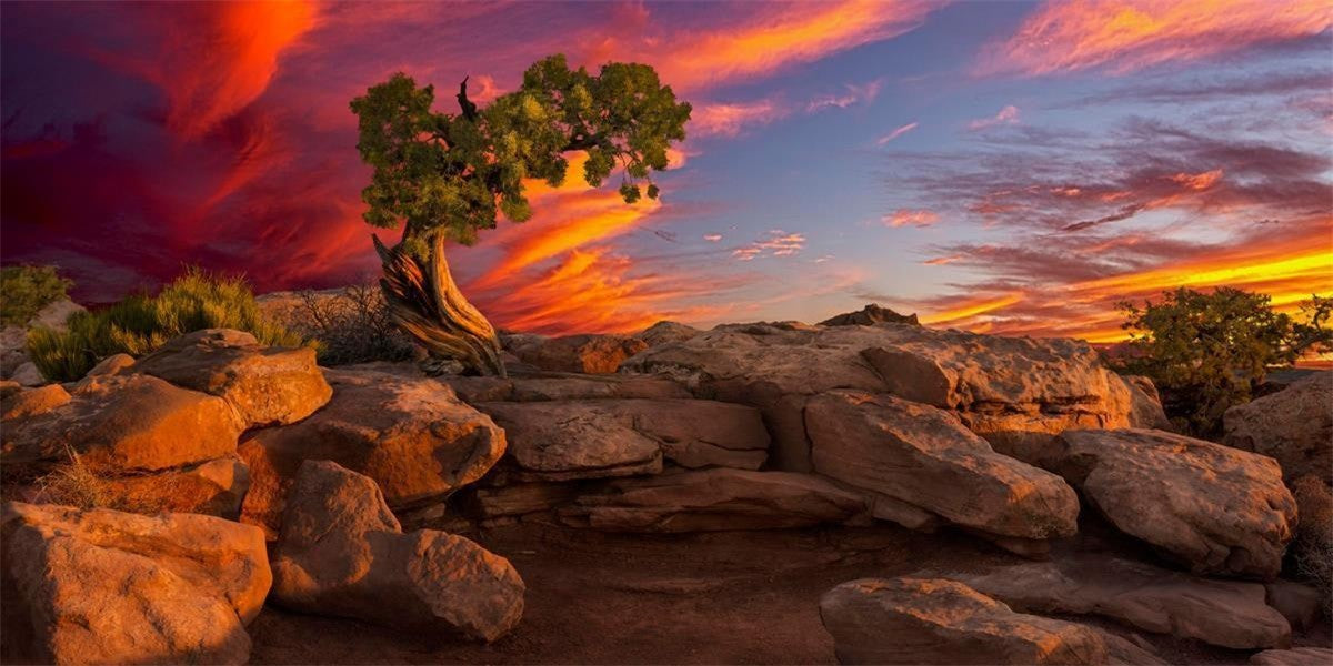 Moab Morning Gallery Wrap
