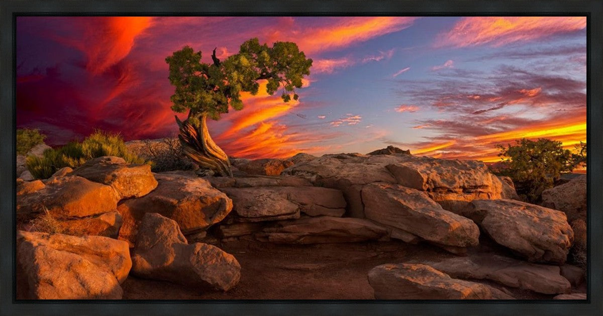 Moab Morning Gallery Wrap