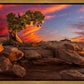 Moab Morning