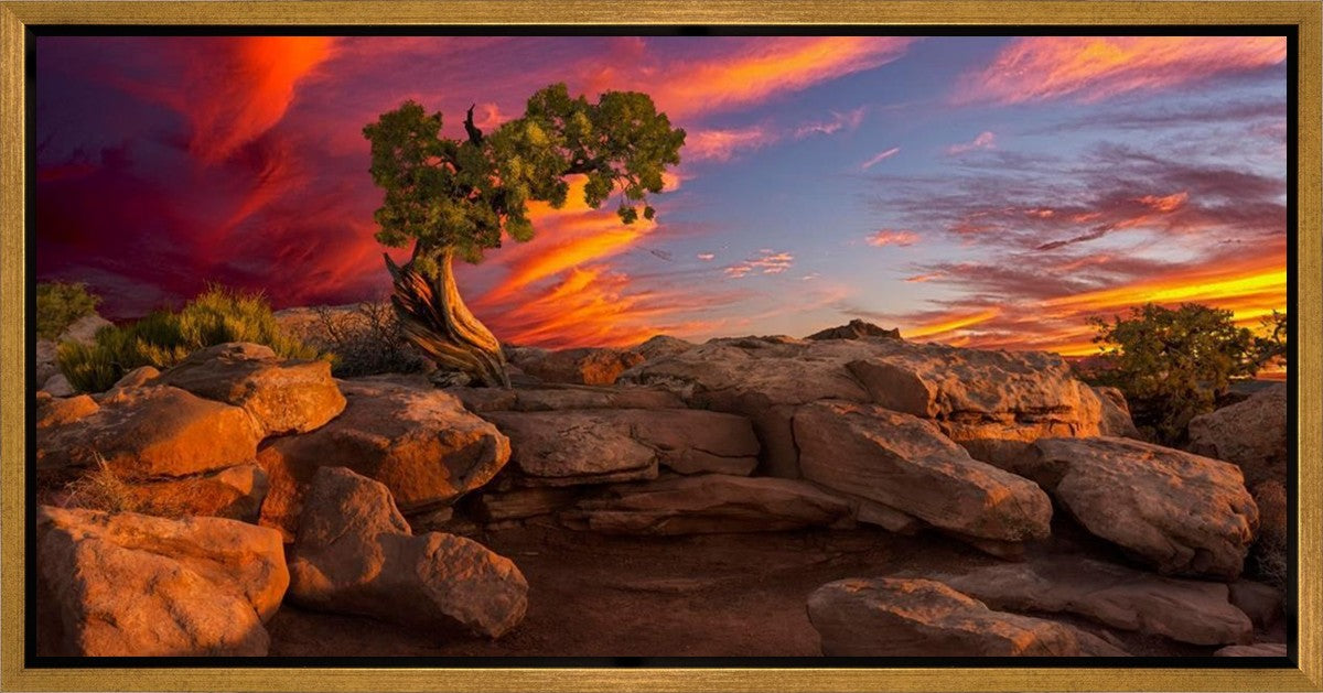 Moab Morning Gallery Wrap