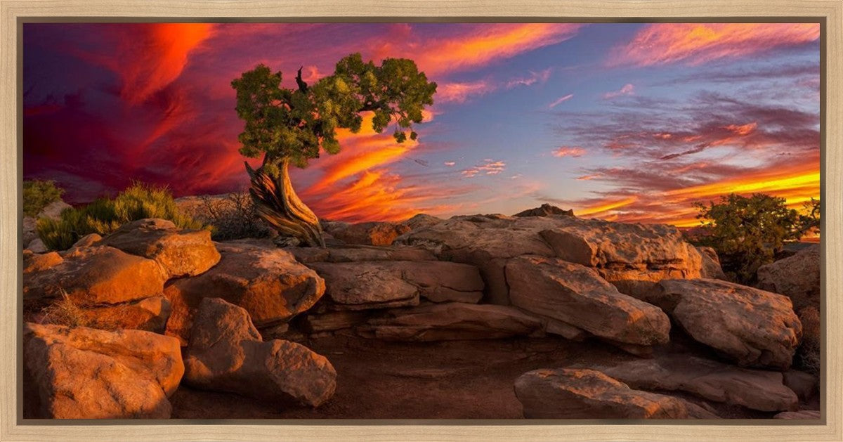 Moab Morning Gallery Wrap
