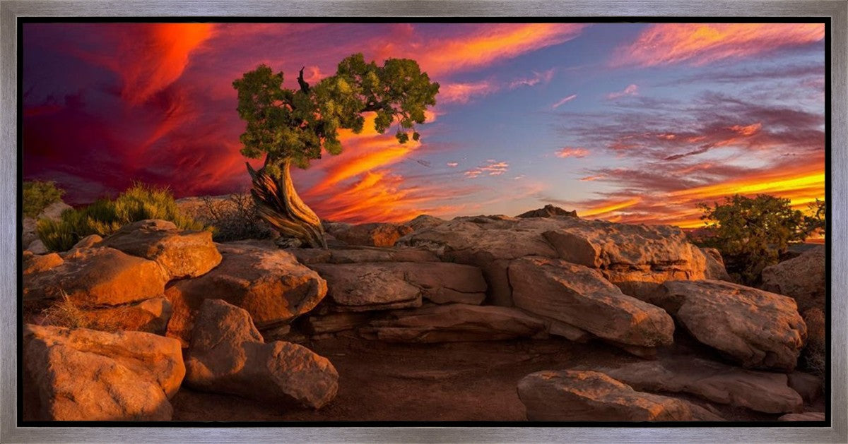 Moab Morning Gallery Wrap
