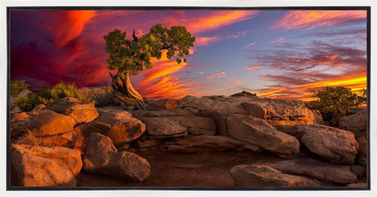 Moab Morning Gallery Wrap