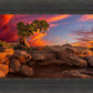 Moab Morning