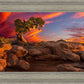 Moab Morning