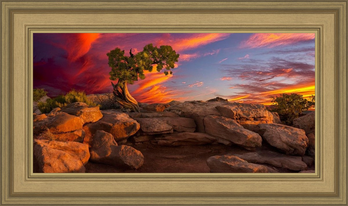 Moab Morning