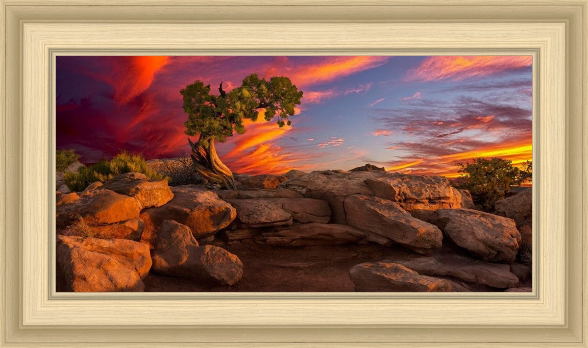 Moab Morning