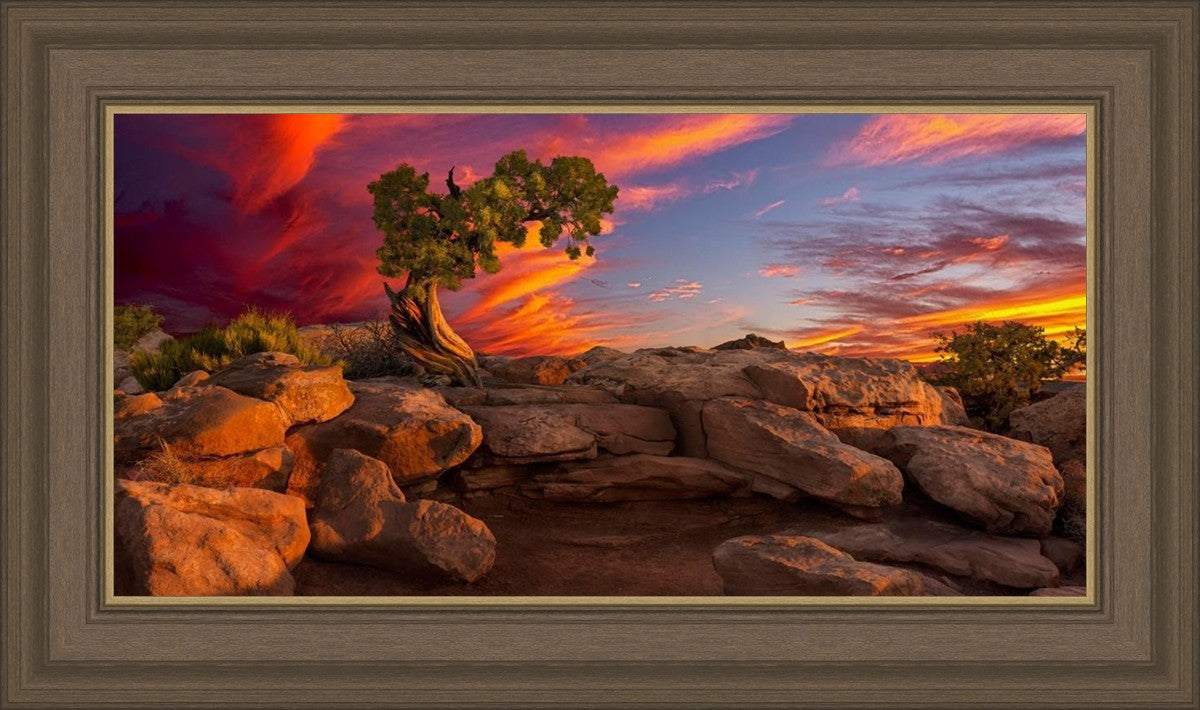 Moab Morning
