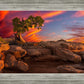 Moab Morning