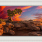 Moab Morning