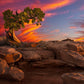 Moab Morning