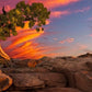 Moab Morning