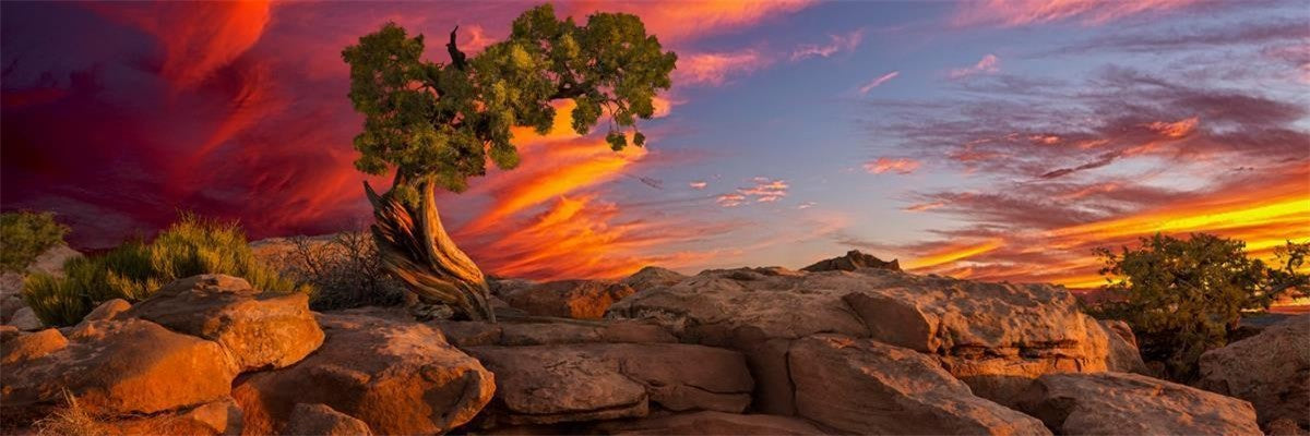 Moab Morning Gallery Wrap