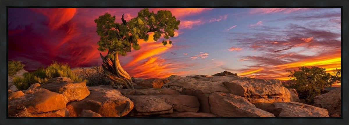 Moab Morning Gallery Wrap