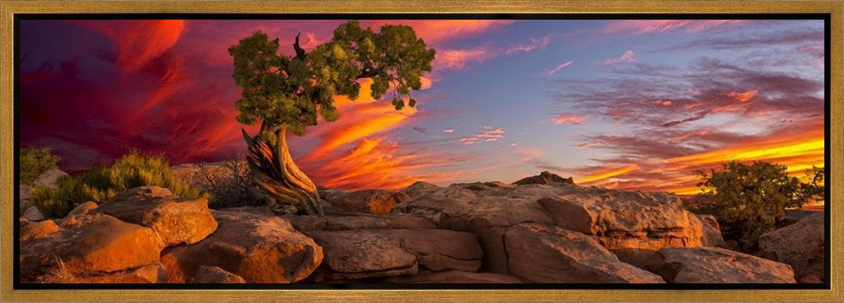 Moab Morning Gallery Wrap