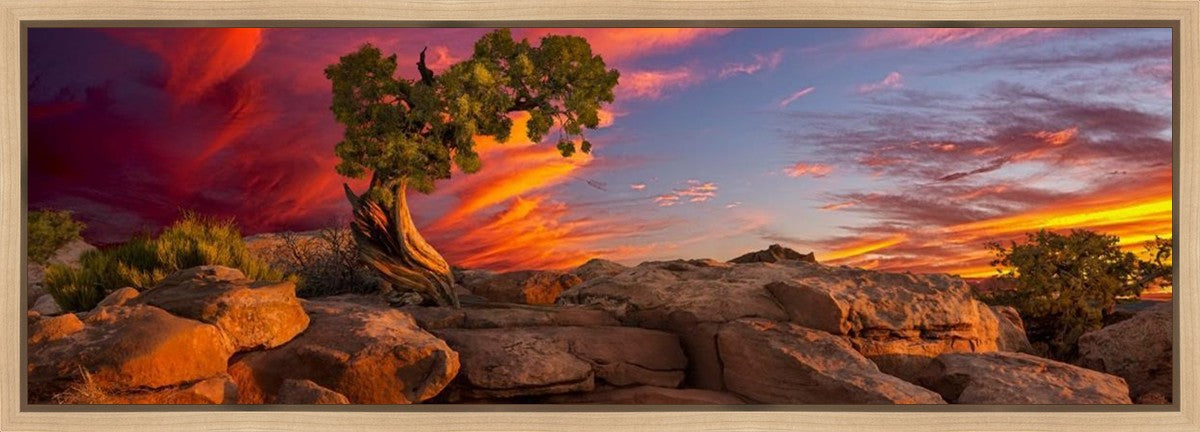 Moab Morning Gallery Wrap