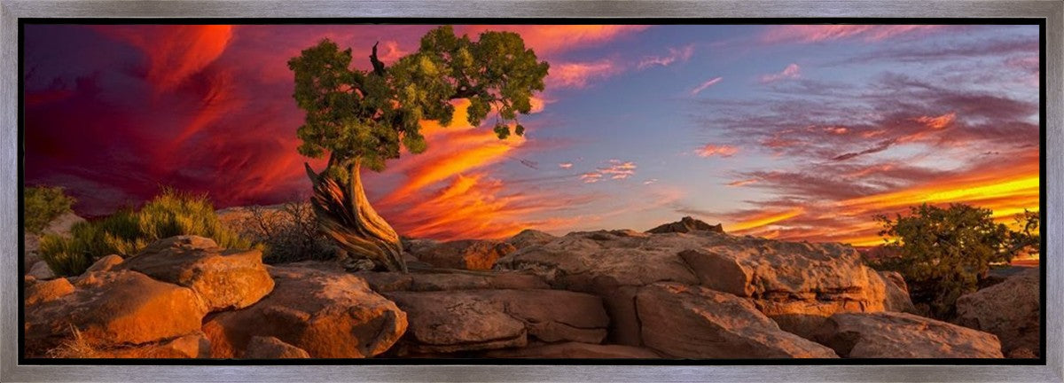 Moab Morning Gallery Wrap