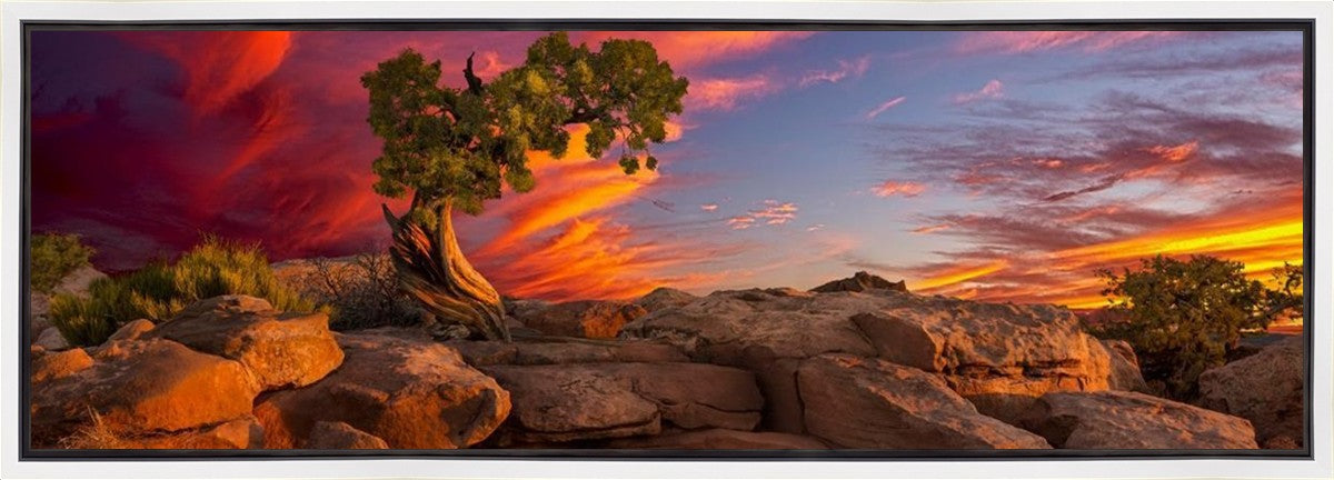 Moab Morning Gallery Wrap