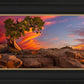 Moab Morning