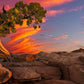 Moab Morning