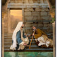 Living Water at Bethesda