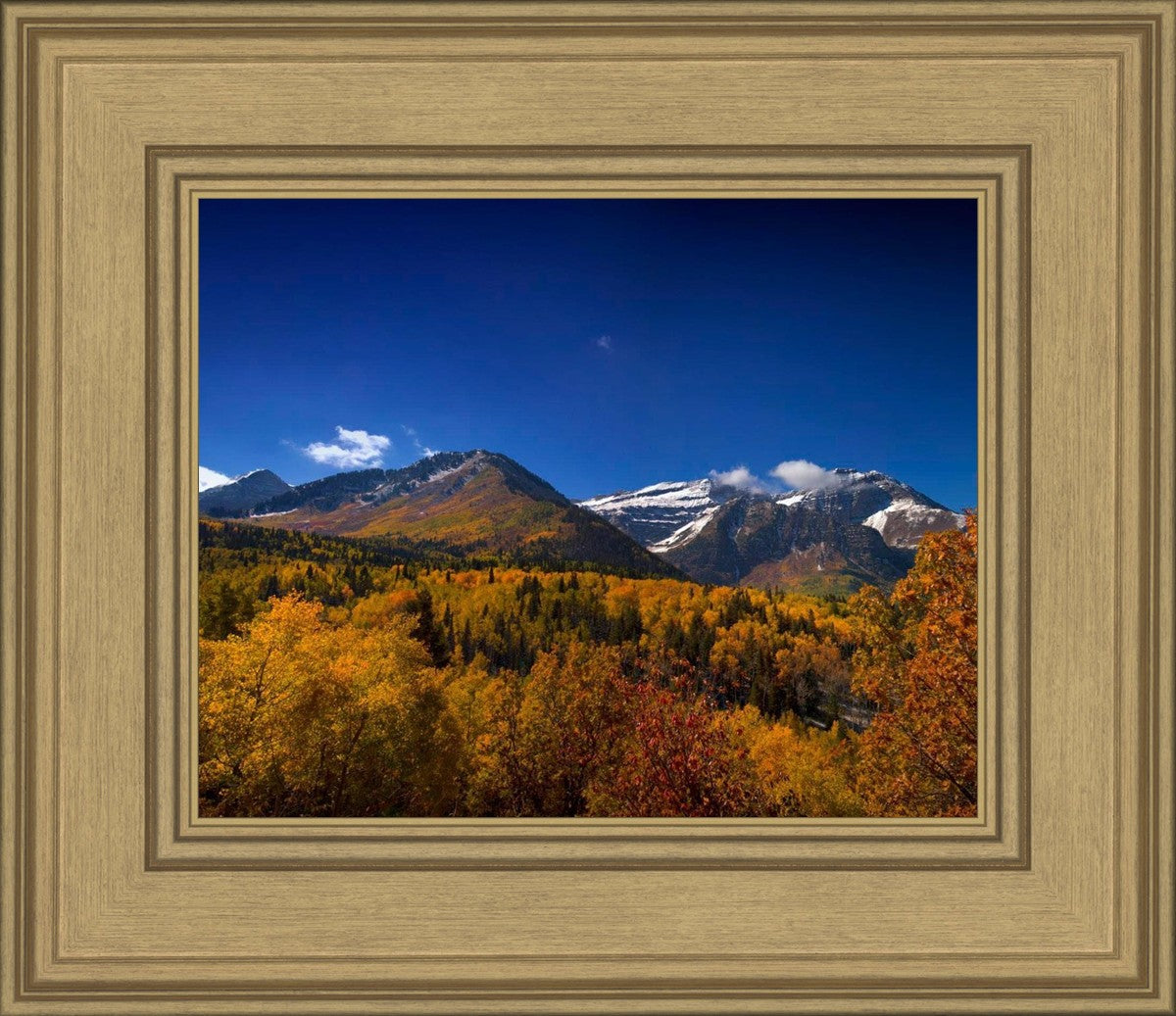 Back Side Of Timpanogos