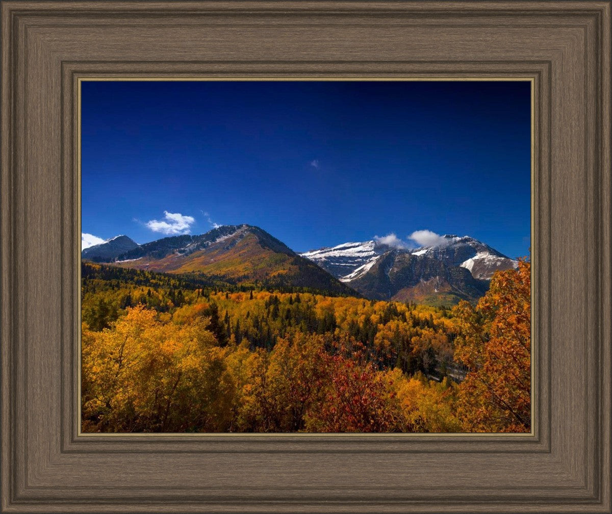 Back Side Of Timpanogos