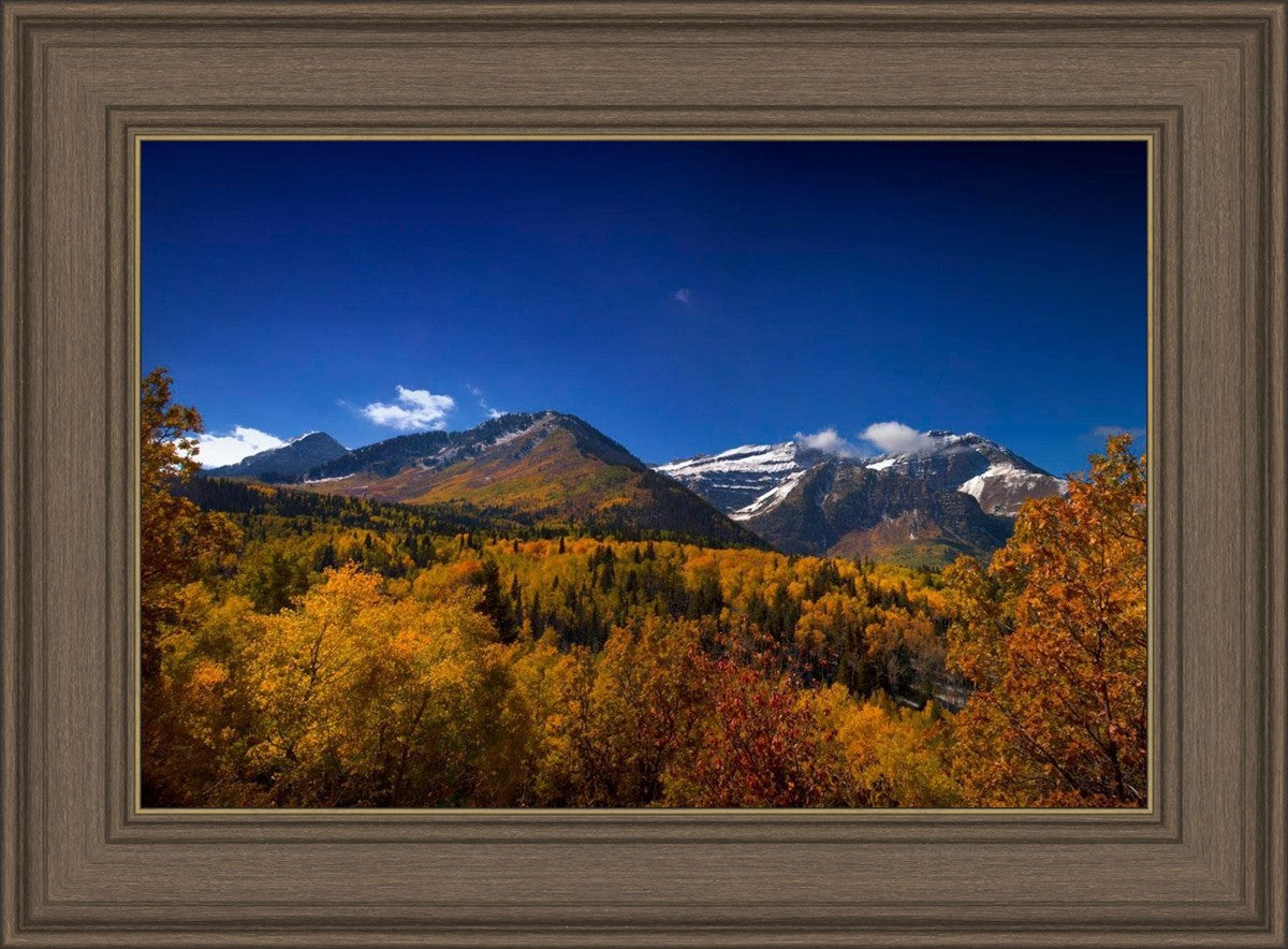 Back Side Of Timpanogos