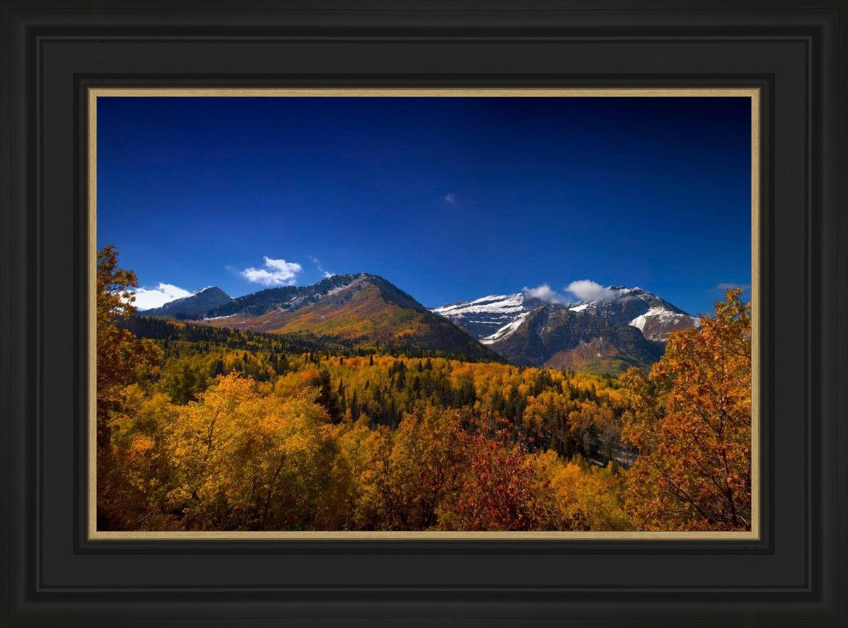 Back Side Of Timpanogos