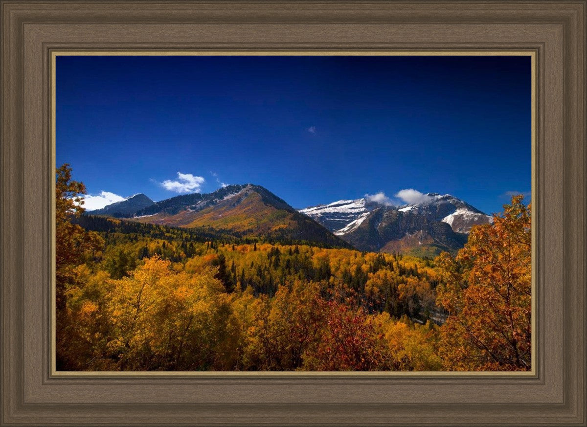 Back Side Of Timpanogos