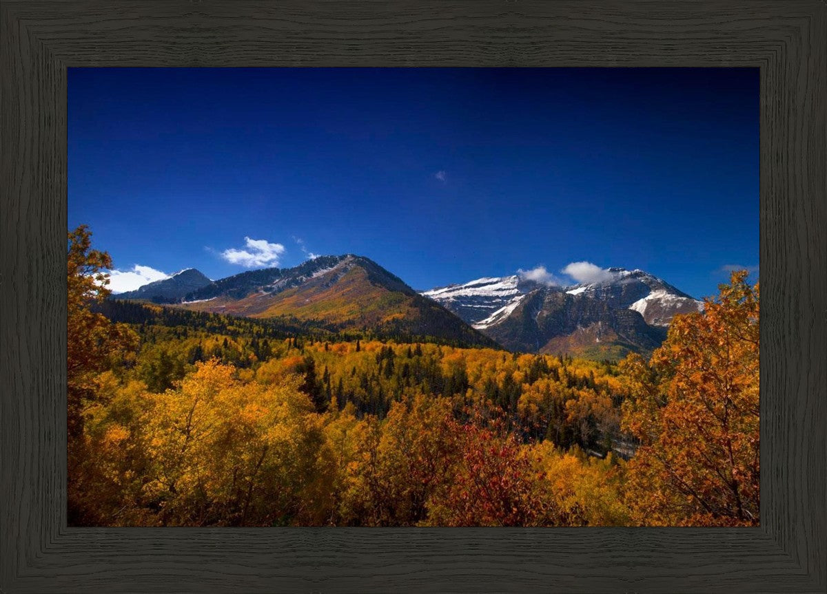 Back Side Of Timpanogos