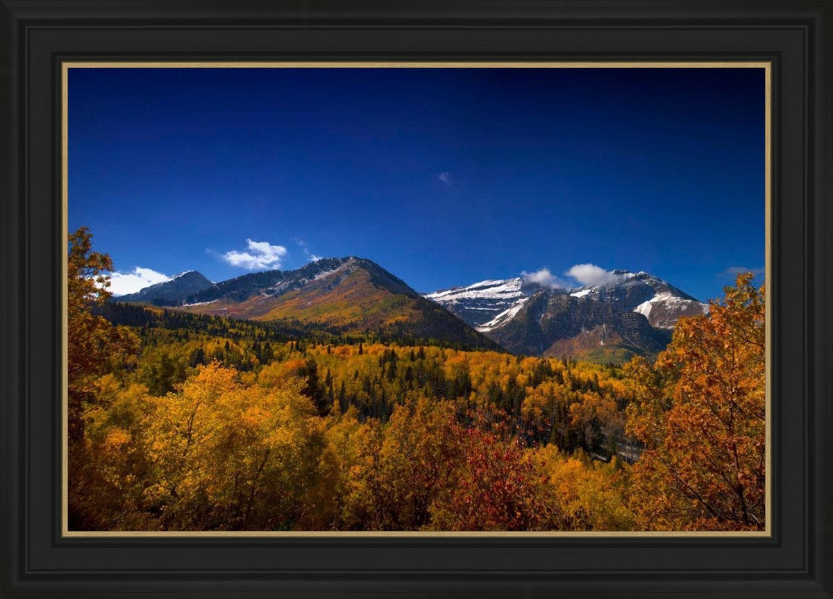 Back Side Of Timpanogos