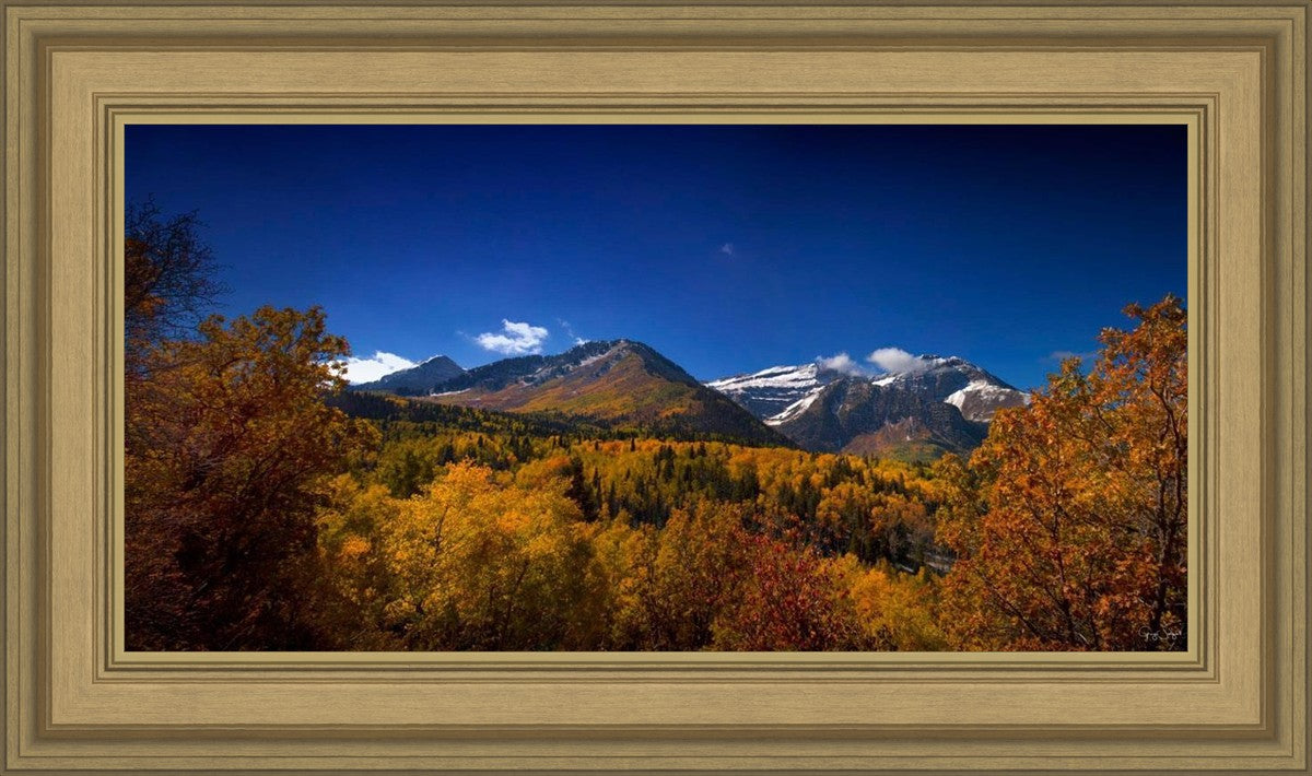 Back Side Of Timpanogos