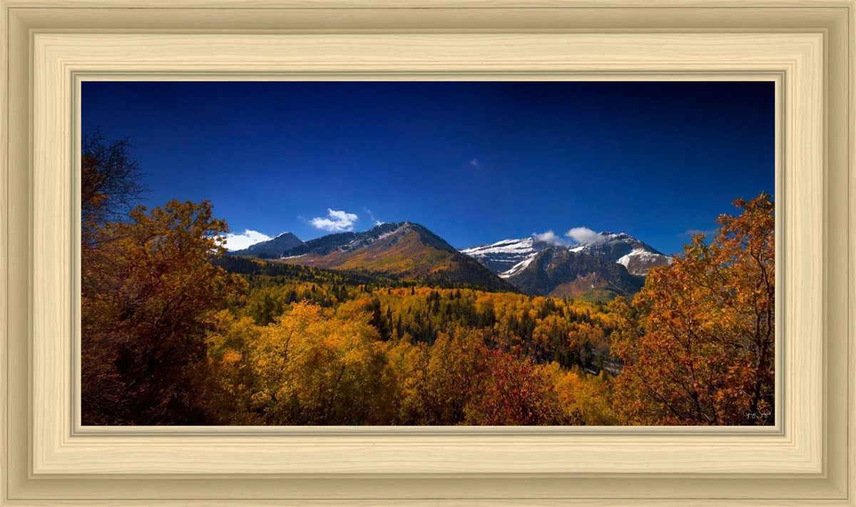 Back Side Of Timpanogos