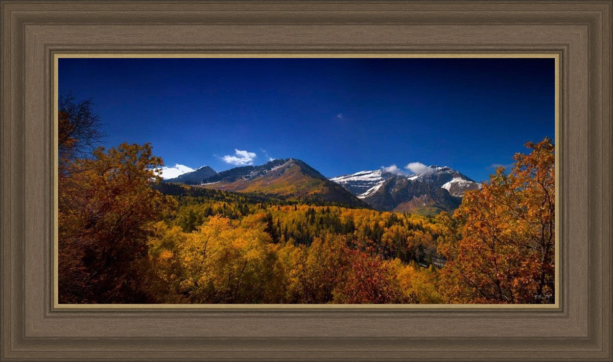 Back Side Of Timpanogos