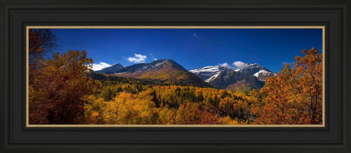 Back Side Of Timpanogos