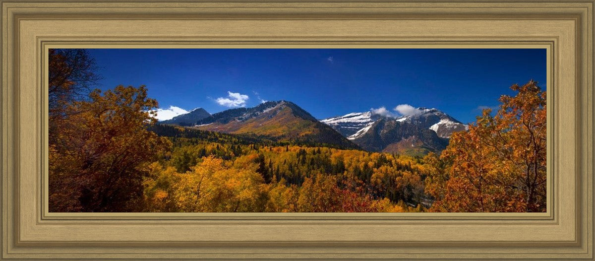 Back Side Of Timpanogos