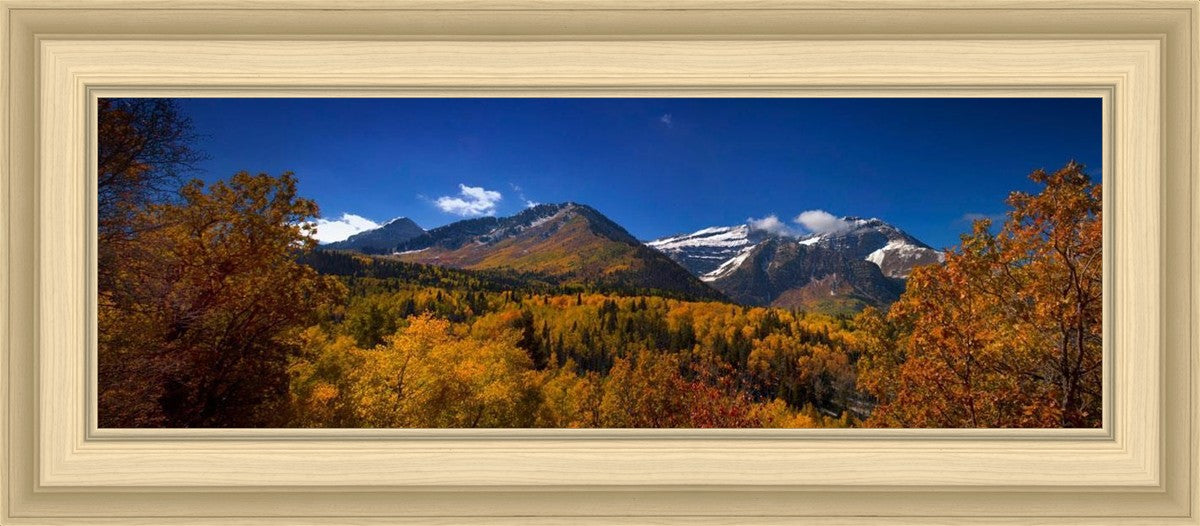Back Side Of Timpanogos