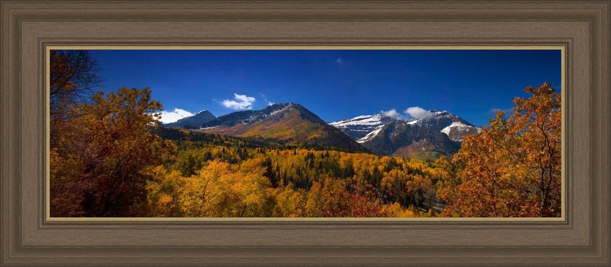 Back Side Of Timpanogos