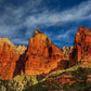 Three Patriarchs Of Zion