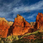 Three Patriarchs Of Zion