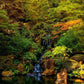 Secluded Pond