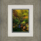 Secluded Pond