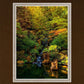 Secluded Pond