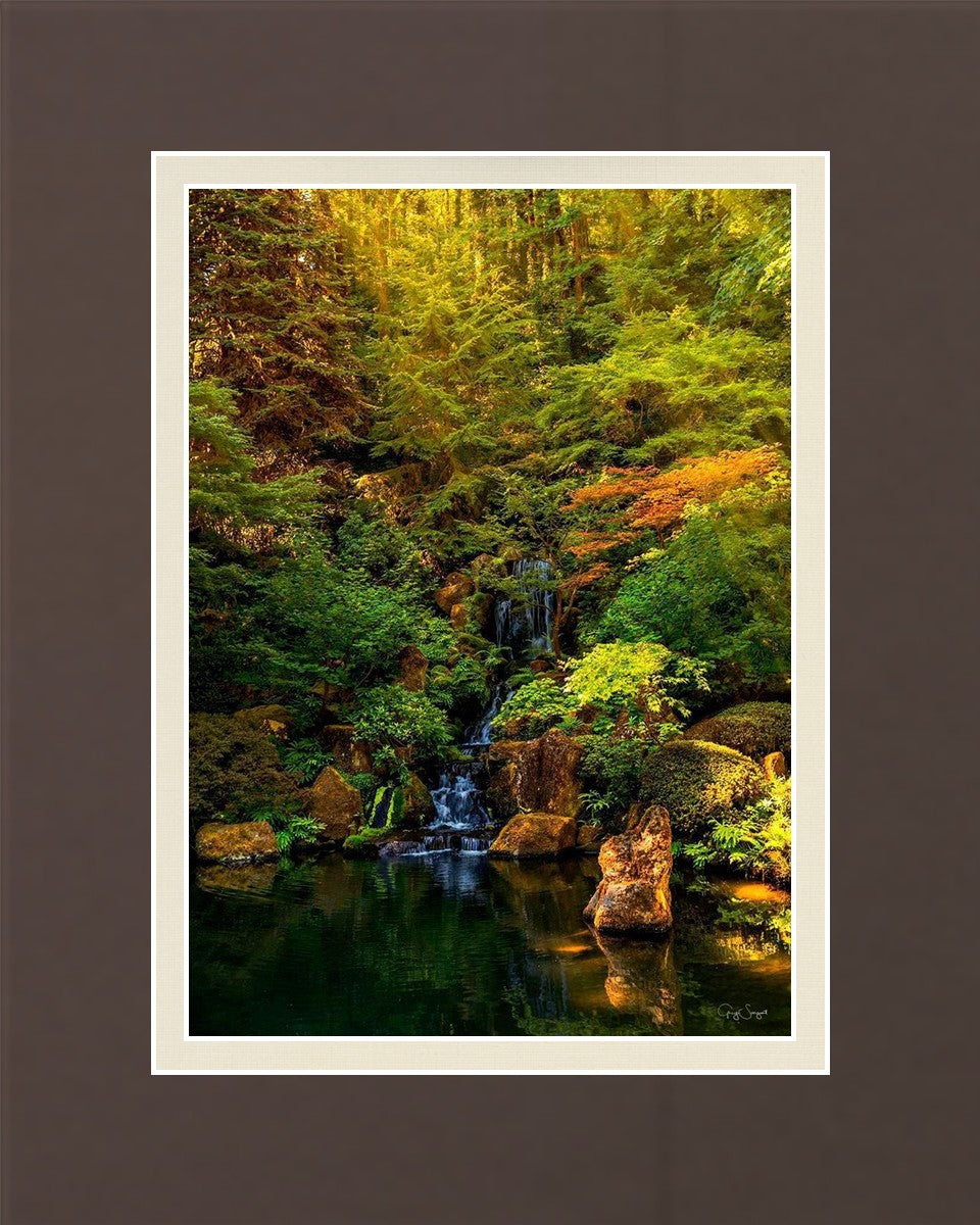 Secluded Pond