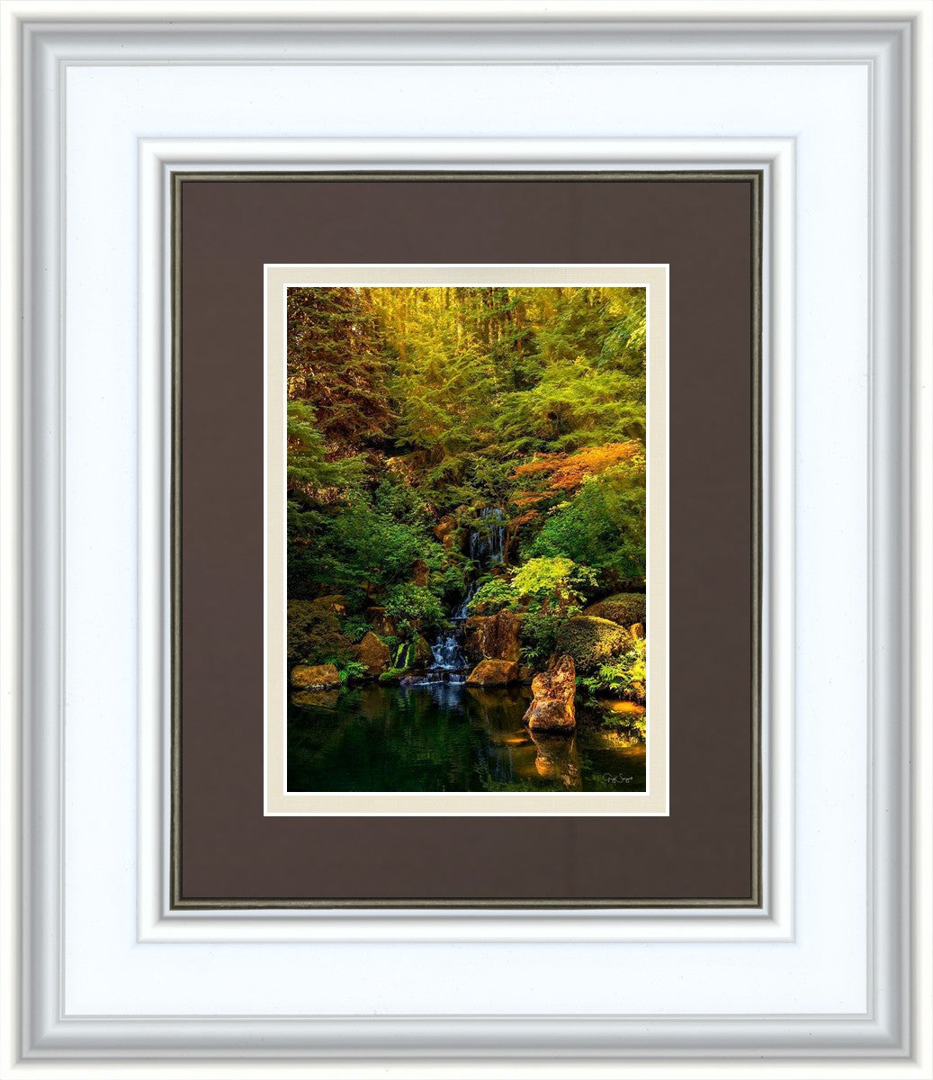 Secluded Pond