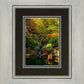 Secluded Pond
