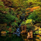 Secluded Pond