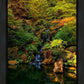 Secluded Pond
