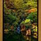 Secluded Pond